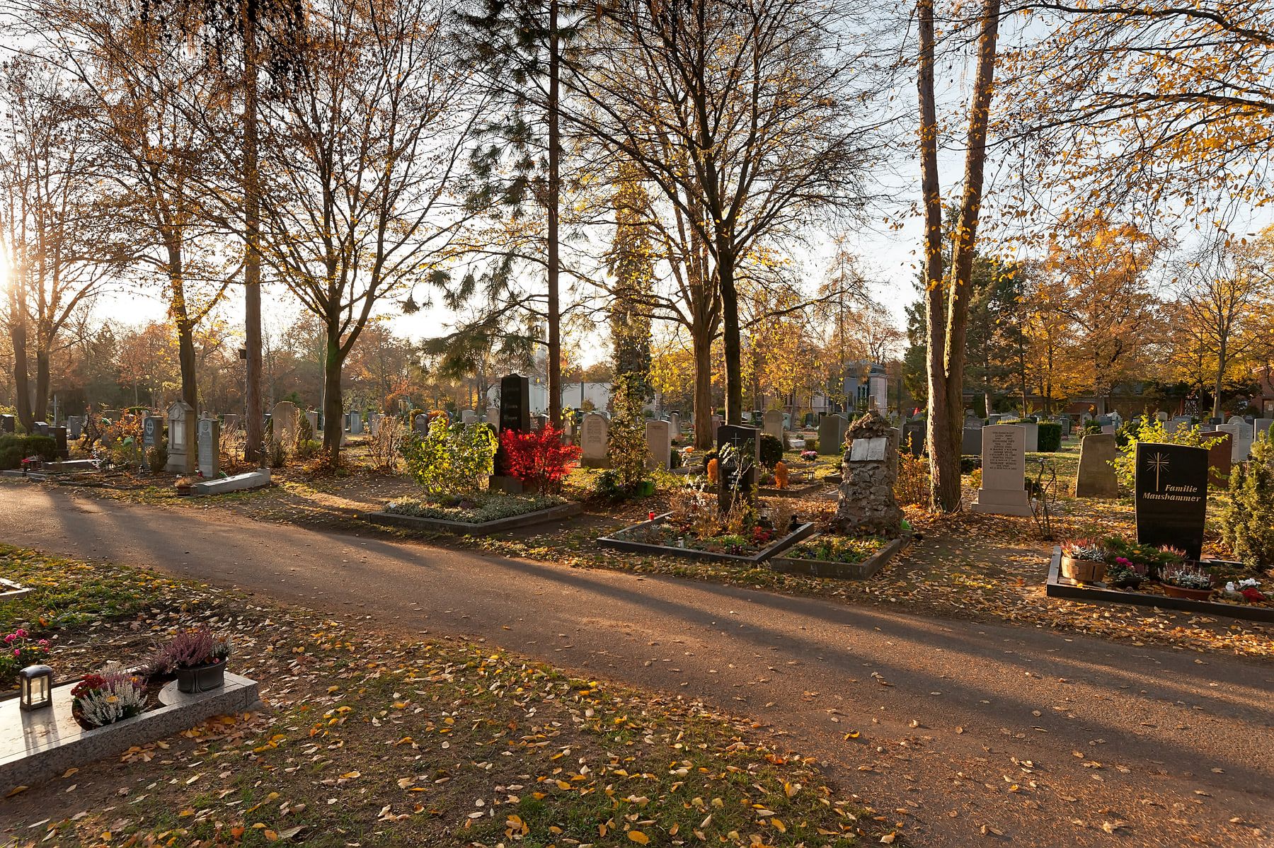 Grabfelder und Friedhofsweg im warmen Licht zwischen herbstlichen Bäumen auf Westfriedhof Nürnberg